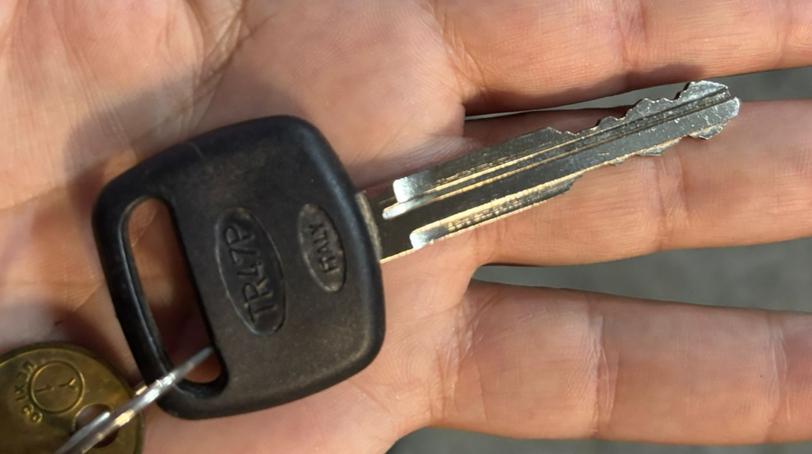 Cabeza plástica con transponder sostenida en la mano